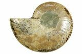 Cut & Polished Ammonite Fossil (Half) - Madagascar #369592-1